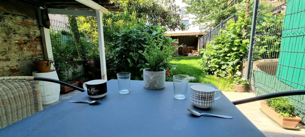 Studio Simone - Terrasse Et Jardin - Tv - Wifi Toulouse Eksteriør bilde