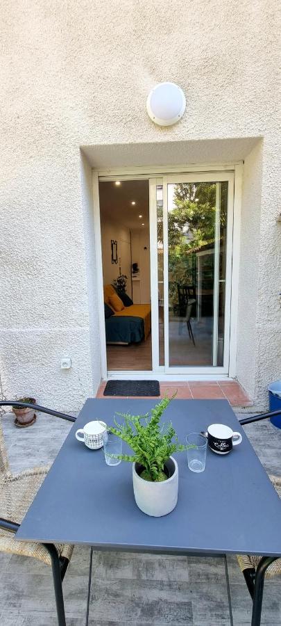 Studio Simone - Terrasse Et Jardin - Tv - Wifi Toulouse Eksteriør bilde