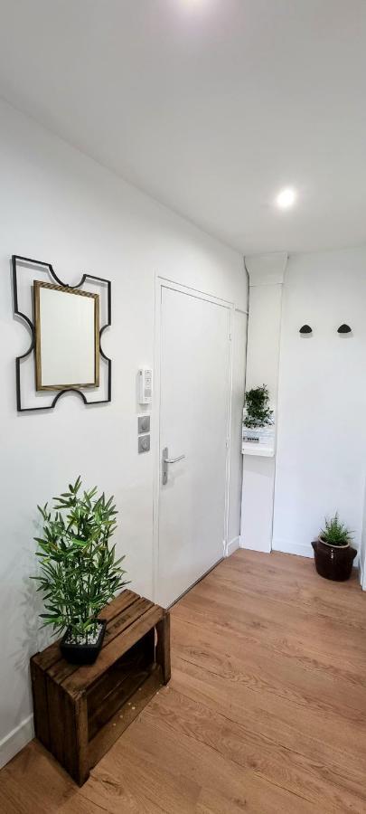 Studio Simone - Terrasse Et Jardin - Tv - Wifi Toulouse Eksteriør bilde