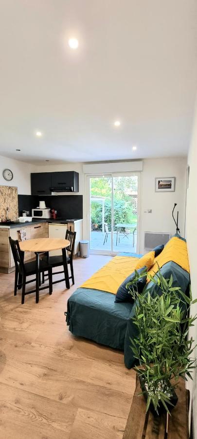 Studio Simone - Terrasse Et Jardin - Tv - Wifi Toulouse Eksteriør bilde