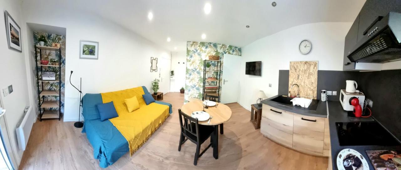 Studio Simone - Terrasse Et Jardin - Tv - Wifi Toulouse Eksteriør bilde